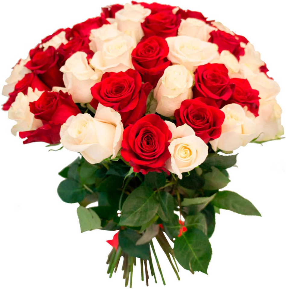 Розы Эквадор микс № 5